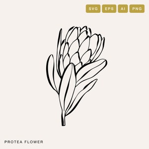 Logotipo floral svg de flor protea, arte de linha svg, download instantâneo, svg floral, arquivos svg para cricut, uso comercial