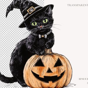 May include: A black cat wearing a witch's hat sits on top of a jack-o'-lantern. The cat has green eyes and a white bow tie. The jack-o'-lantern has a carved face with a wide smile.
