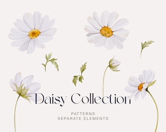 Daisy clipart png, spring clipart, daisy flower clipart, wildflower clipart, daisy seamless pattern, watercolor floral pattern