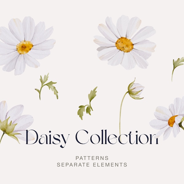 Daisy clipart png, spring clipart, daisy flower clipart, wildflower clipart, daisy seamless pattern, watercolor floral pattern