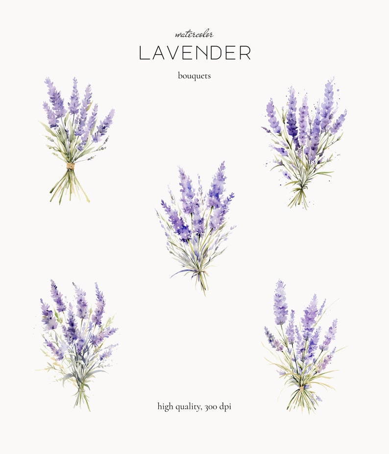 May include: Five watercolour illustrations of lavender bouquets. The bouquets are arranged in a grid pattern. The text "watercolor LAVENDER bouquets" is at the top of the image. The text "high quality, 300 dpi" is at the bottom of the image.