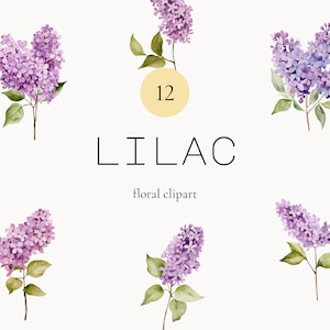 Imágenes prediseñadas florales de acuarela lila, flores lilas, flores púrpuras, clip art de flores de primavera, flor lila, conjunto floral lila
