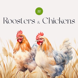 Gallo de acuarela (imágenes prediseñadas), imágenes prediseñadas de pollo, imágenes prediseñadas de granja, paquete de imágenes prediseñadas rústicas, borde de acuarela, imágenes prediseñadas comerciales