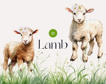 Watercolor lamb clipart, sheep spring clipart png, clipart bundle, baby animal clipart, commercial clipart, digital download