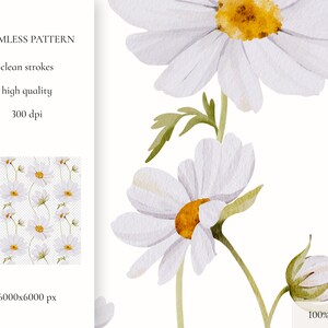 May include: A seamless pattern featuring white daisies with yellow centers on a transparent background. The pattern is perfect for creating digital or printed designs.