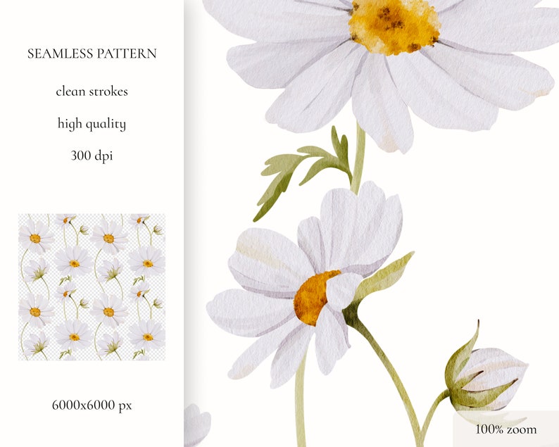 May include: A seamless pattern featuring white daisies with yellow centers on a transparent background. The pattern is perfect for creating digital or printed designs.
