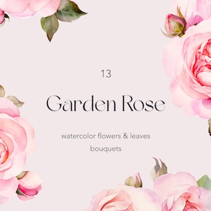 Clipart acquerello rose rosa, png rose rosa, arte rose da giardino, clipart floreale rosa, clipart rose, composizione floreale per uso commerciale