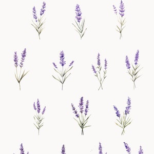 May include: Watercolour illustration of lavender flowers. The flowers are purple and have green stems and leaves. The illustration is on a white background.