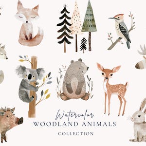 Watercolor Woodland Animals Clipart, Forest Friends Clip Art, Cute Fall ...