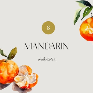 Orange Aquarell Clipart, Mandarin Baum, Mandarine Designs, Moderne Weihnachtskarte, Winter Aquarell Clip Art, Elegante Weihnachtskarten