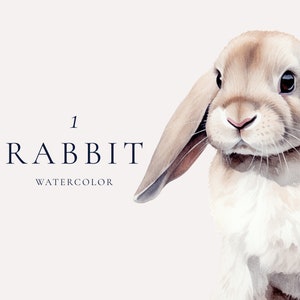 Kaninchen Aquarell Clipart, Osterhase png, Schlappohr, Kaninchen, Aquarell Clipart, sofort Download, kommerzielle Clipart