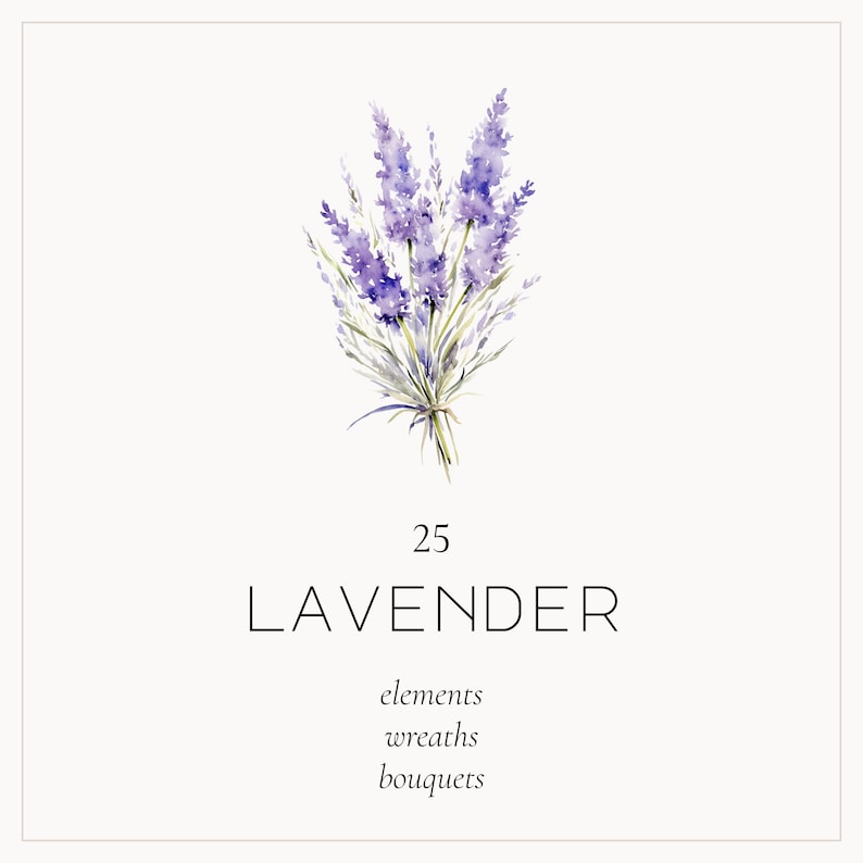 May include: Watercolour illustration of a bouquet of lavender flowers. The illustration is labelled "25 LAVENDER elements wreaths bouquets".