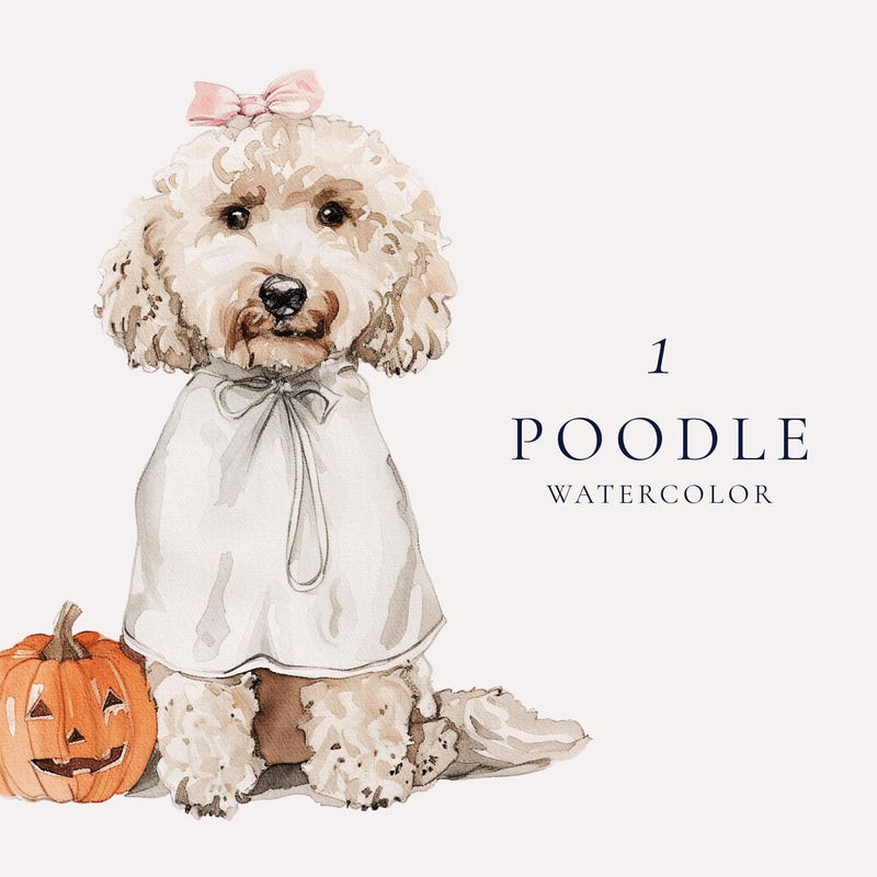 Poodle Pumpkin Stencil - Etsy