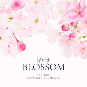 Clipart de aquarela de flor de cerejeira, clipart de flor de primavera rosa suave, png de flor de sakura, clipart de dia das mães, padrão sem emenda de flor