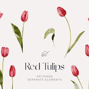 Watercolor red tulip clipart bundle, Spring floral clipart, Tulip digital paper set, Mothers day clipart, Commercial use, Instant download
