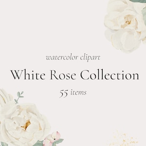 White Rose Collection - Aquarell Blumen Clipart - Gold Floral Set - Hochzeitseinladung - Weißgold Clipart - Vorgefertigte Arrangements