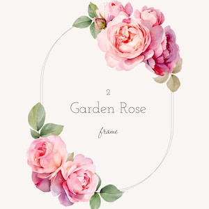 Rosa Rose Rahmen Clipart, Rosenstrauß Rahmen Aquarell, Blumenrahmen png, Elegante Hochzeitsrahmen, Rosen Einladung, Blumen Ecke Rahmen