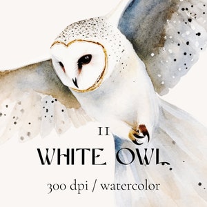 Weiße Eule, Clipart Vogel, Aquarell Clipart, Schneeeule, Eule zum Ausdrucken, Eule PNG, Winter Clipart