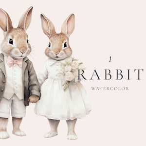 Clipart lapin de mariage vintage aquarelle, mariage rustique, clipart mariage fantaisiste, clipart faire-part de mariage mignon, clipart aquarelle