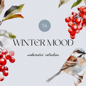 Clipart de galhos de frutas vermelhas de inverno em aquarela, clipart de pardal, convite de pássaro de inverno, clipart de inverno em aquarela, cartões de felicitações de inverno