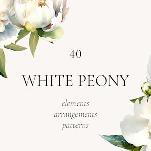 Weiße Pfingstrose Clipart, Aquarell Blumen Clipart, Pfingstrose Muster, Pfingstrose Kranz, weiße Blume Clipart, nahtlose Muster PNG