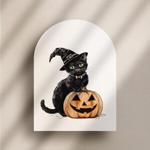 May include: A black cat wearing a witch's hat sits on top of a carved orange pumpkin. The cat has green eyes and a white bow tie.
