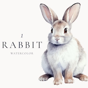 Clipart lapin aquarelle, png lapin de Pâques, impression d'art lapin blanc, clipart aquarelle, téléchargement immédiat, clipart commercial