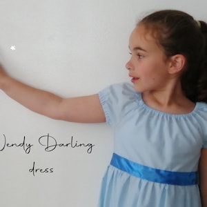 short wendy darling dress The Wendy Darling Skater Dress