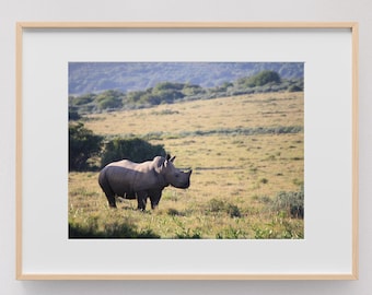 White Rhino Baby Photo Instant Digital Download Wall Art Print Image
