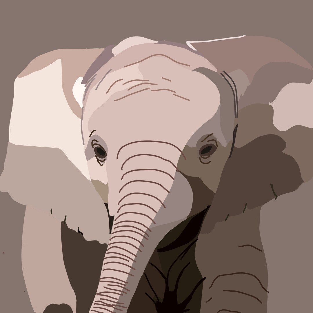 Elephant Wall Art Home Decor Elephant Kids Etsy