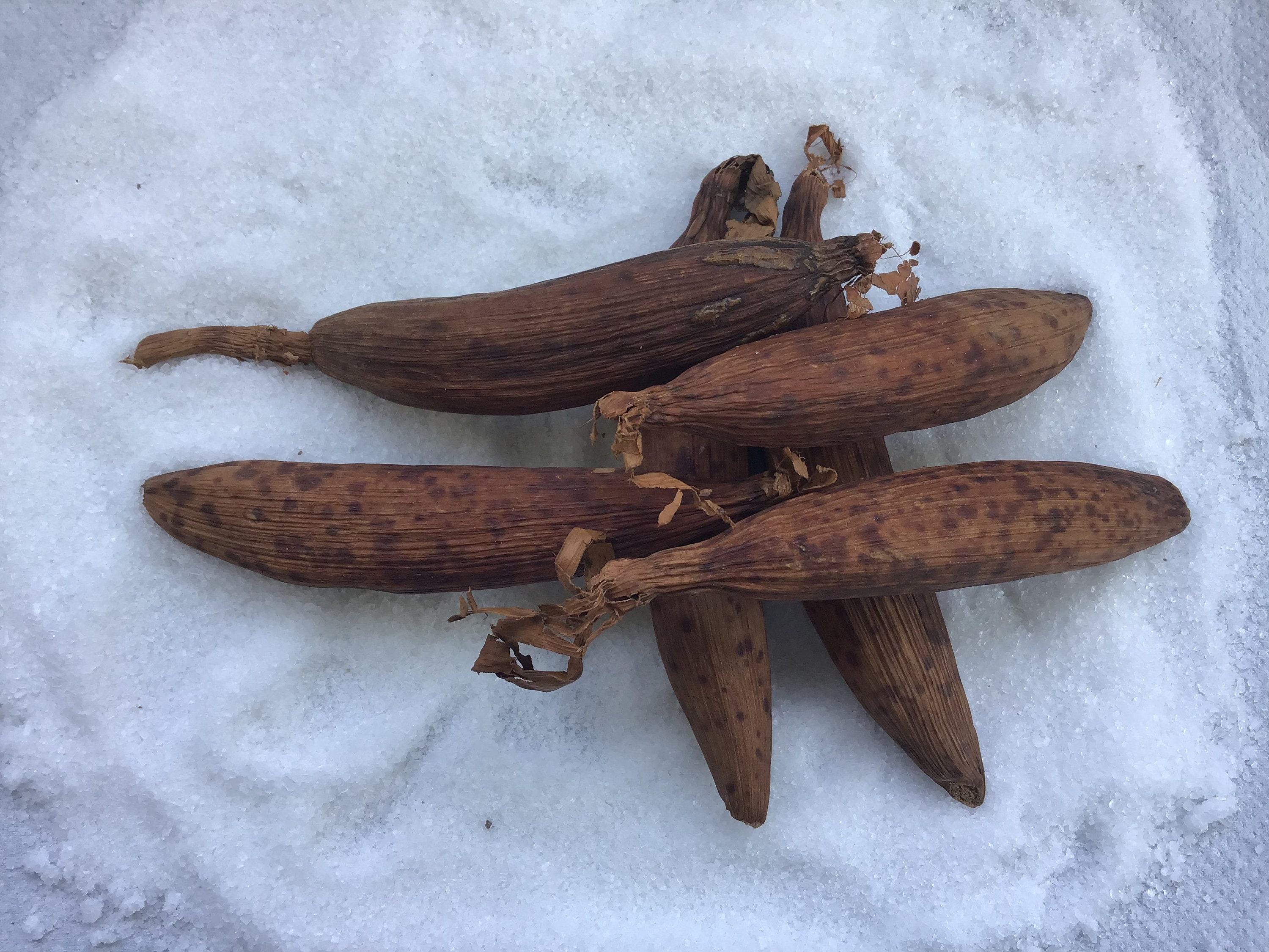 Graines de Paix/Graines La Jujube Ndidam Épices Africaines Assaisonnement