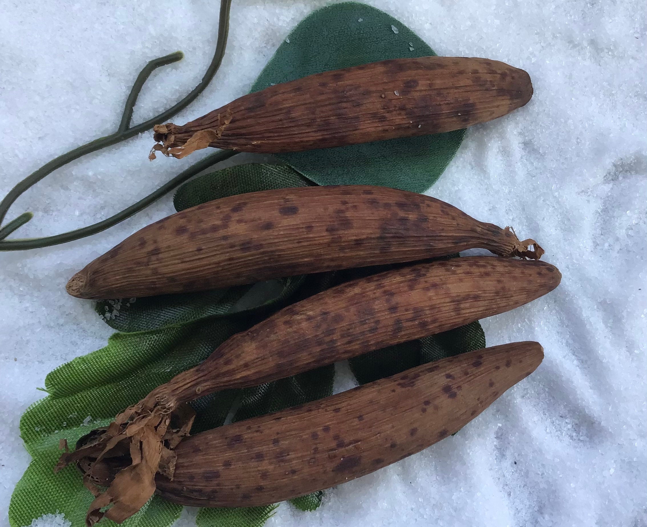 Graines de Paix/Graines La Jujube Ndidam Épices Africaines Assaisonnement