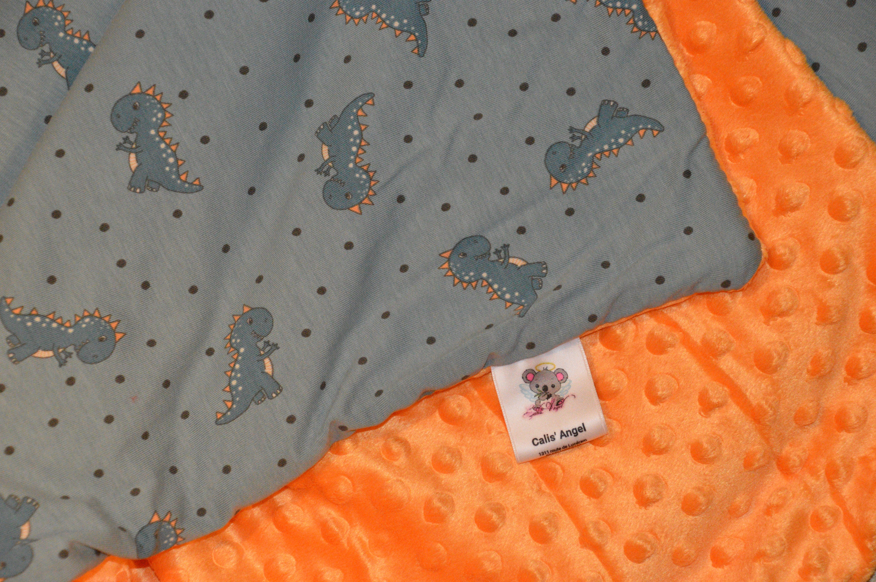 Couverture Naissance Dragon