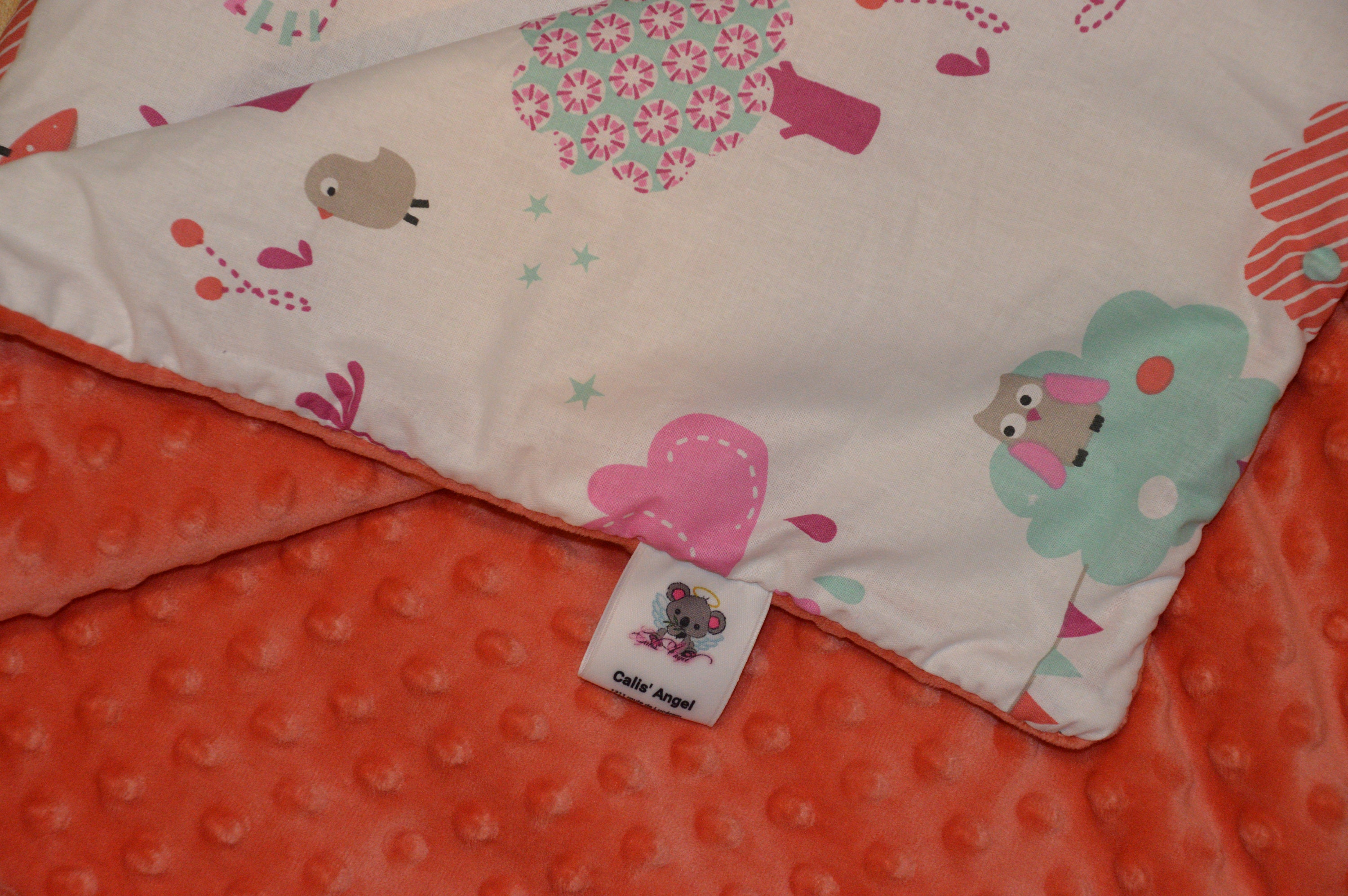 Couverture Naissance Lapin