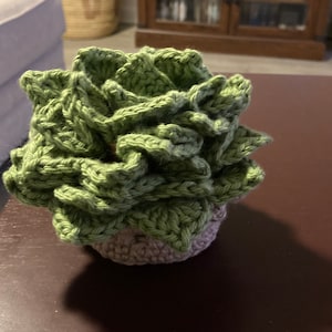 May include: A crocheted succulent plant in a pot. The plant is green and the pot is a light brown color.