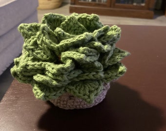 Crochet succulent coaster set