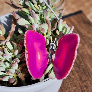 May include: A pink agate butterfly with a silver metal connector. The butterfly is sitting in a pot with a succulent plant.