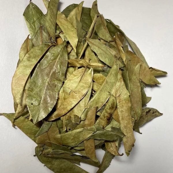 Guanabana Hoja Seca/ Soursop Leaves Dried 1.5 oz