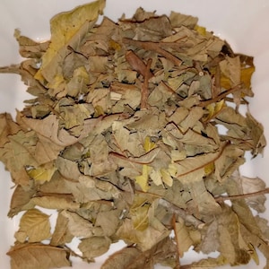 Guayaba hoja seca/Guava Dried Leaves 1.5 oz