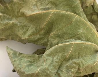 Hoja de higo seca/ Fig Leaves dried 0.5 oz