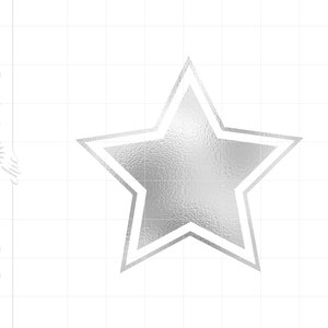 May include: A silver star with a white outline. The star has a textured surface.