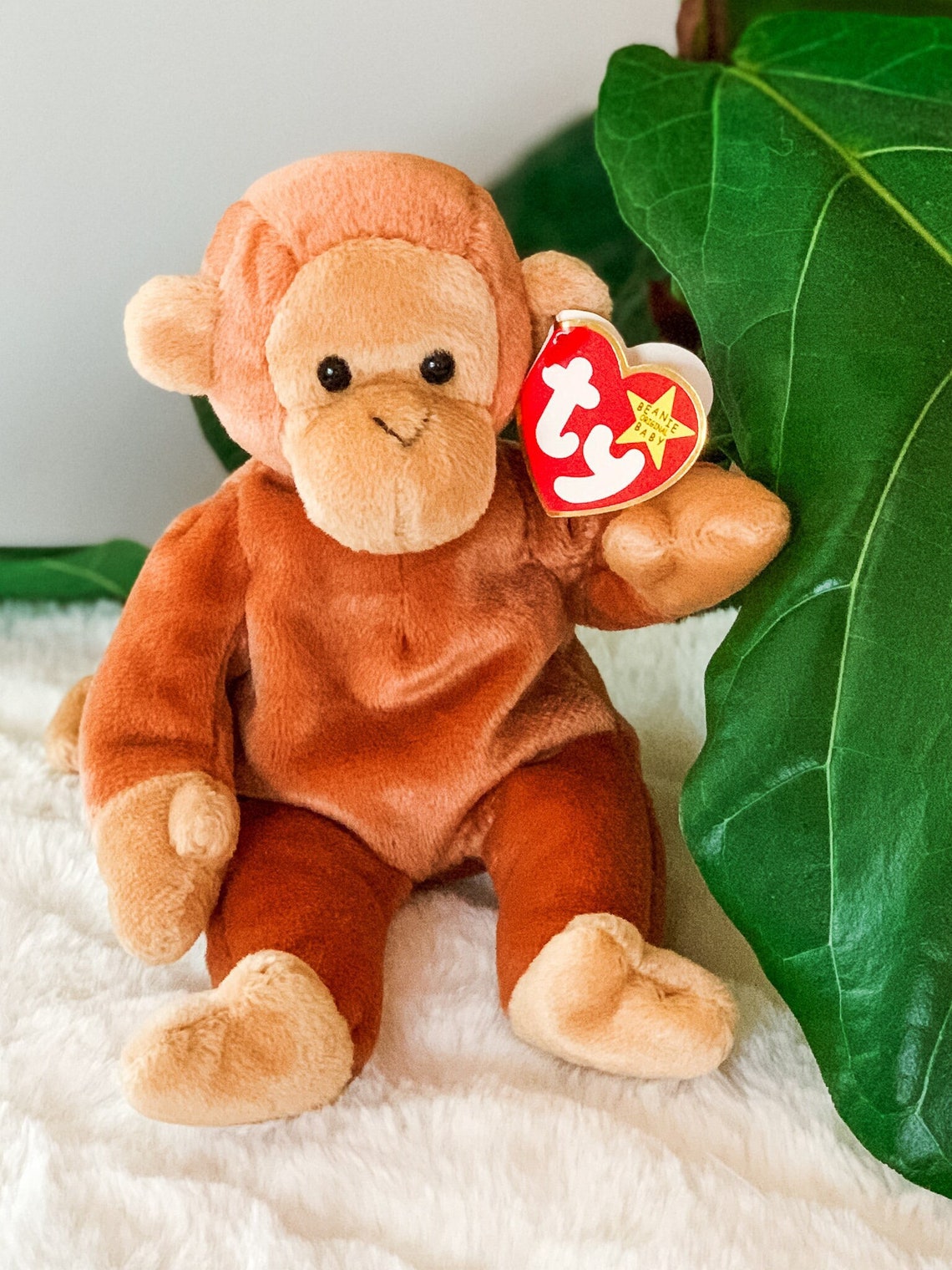 ty monkey bongo ty monkey bongo