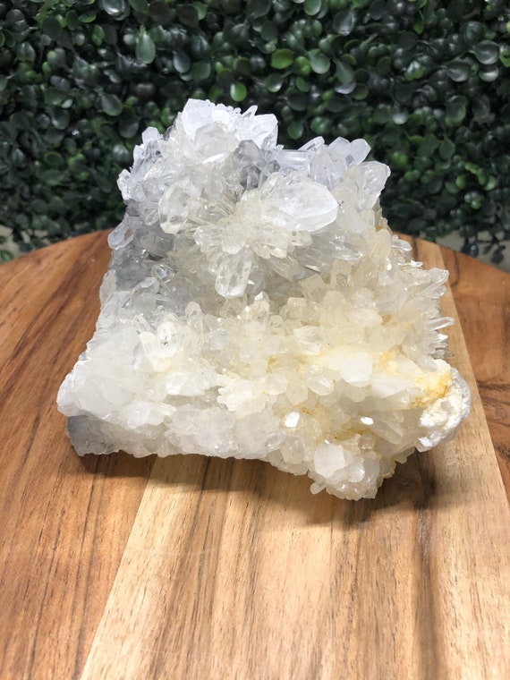 Chrysanthemum Quartz Cluster Flower Quartz Quartz Statement Etsy