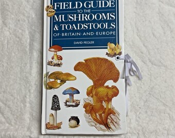 Mushroom Travelers Shabby Chic skinny Journal w/Handmade Interesting Ephemera