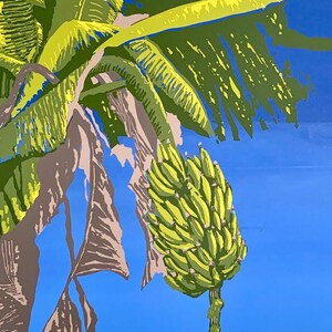 May include: A close-up of a banana tree with green leaves against a bright blue sky. The banana bunch is green and partially obscured by the leaves.