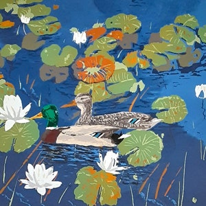 Könnte beinhalten: Zwei grünköpfige Enten schwimmen in einem Teich mit weißen Seerosen und grünen Seerosenblättern. Das Wasser ist blau und der Hintergrund ist hellblau.