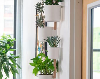 The Rail - Sistema modular de jardineras de pared / Macetas impresas en 3D y expositor vertical de plantas / Jardín interior personalizable / Envío rápido