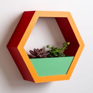 May include: A wall-mounted, hexagonal planter with a red interior and orange trim. The planter holds a green container filled with succulents. The plants have green and burgundy leaves. The planter is mounted on a white wall.