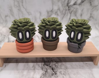 Sukkulenten Plant Buddy - Mit Zufälligem Topf | BlobLab