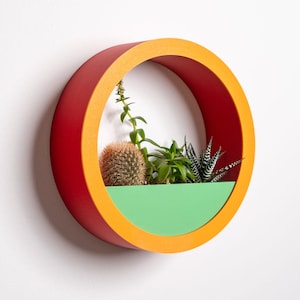 May include: A circular wall planter with a red outer ring, orange edging, and a green base. It contains a selection of small succulents and a cactus. The design is modern and colourful, ideal for indoor decoration.